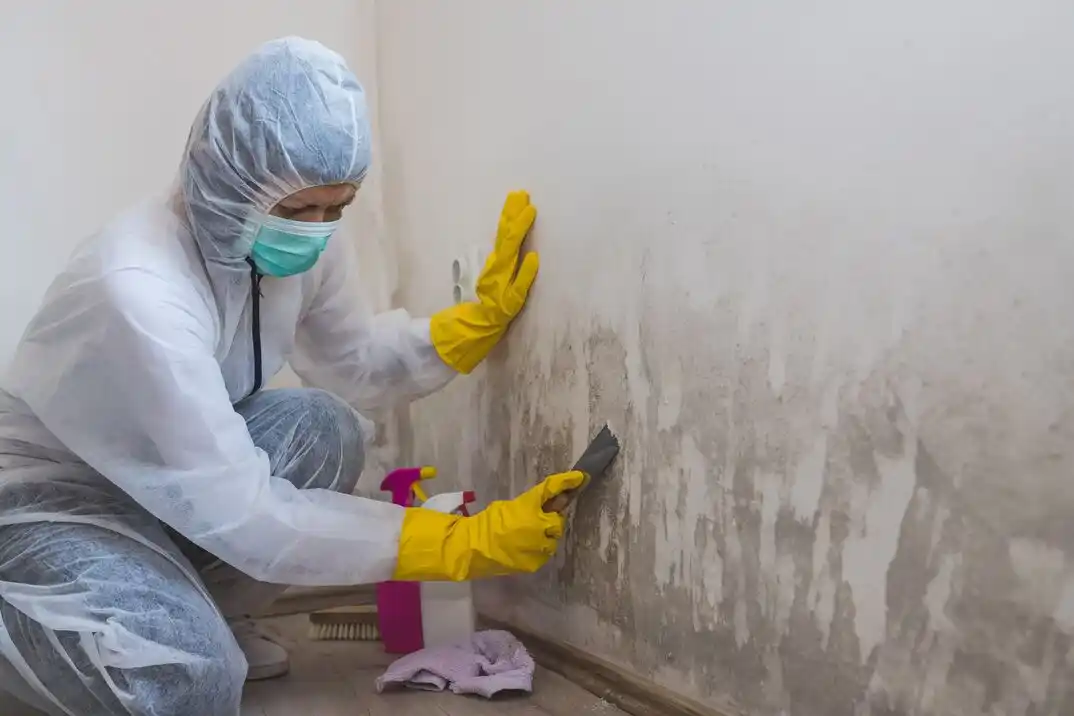 water damage restoration service Spinnacker Cove